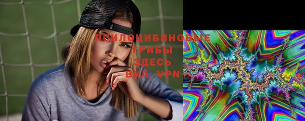 герыч Козловка